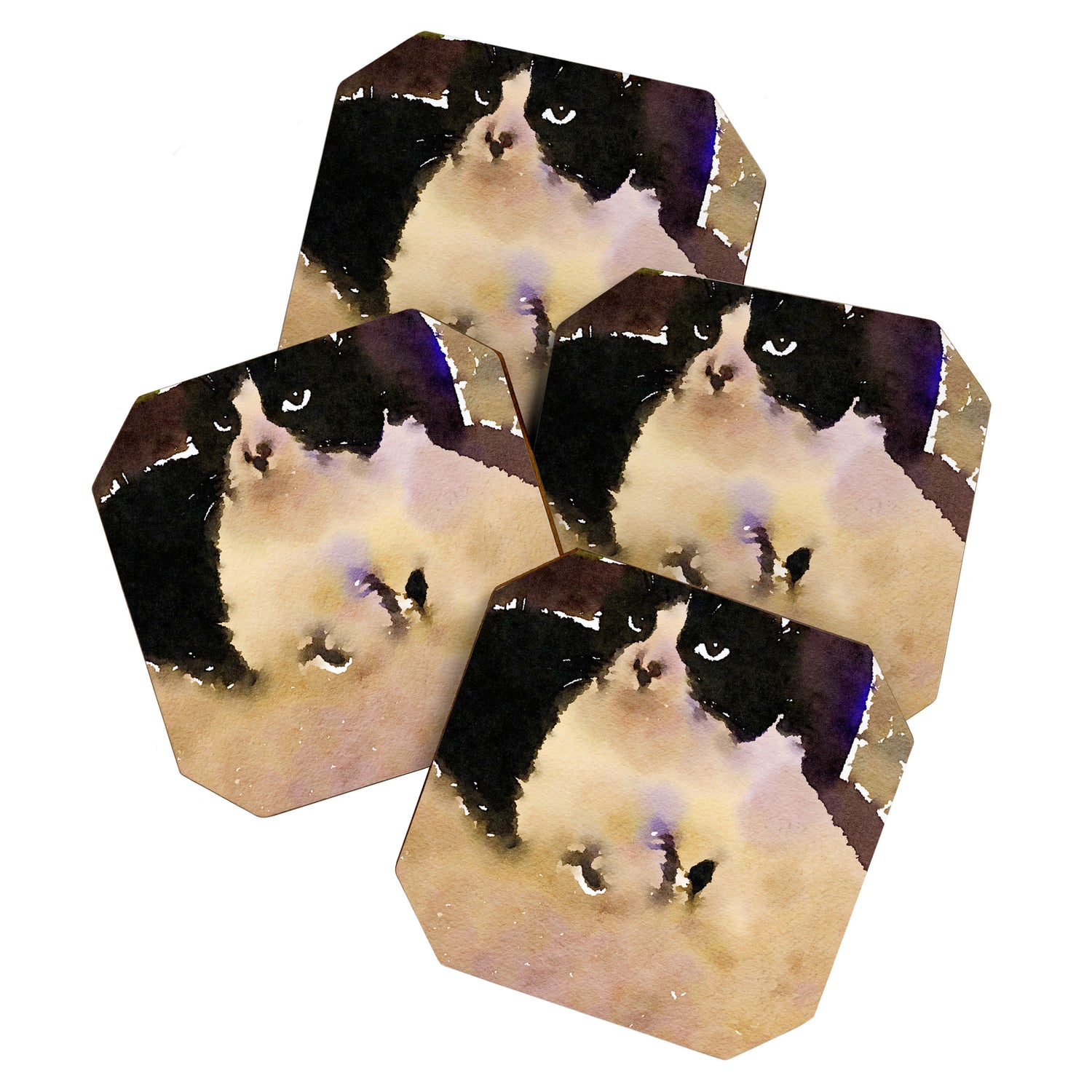 charlotte the cat Coaster Gallery Image 1