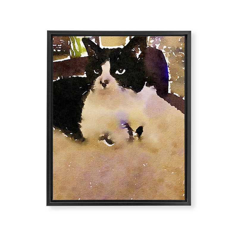charlotte the cat Framed Canvas Print Gallery Image 6