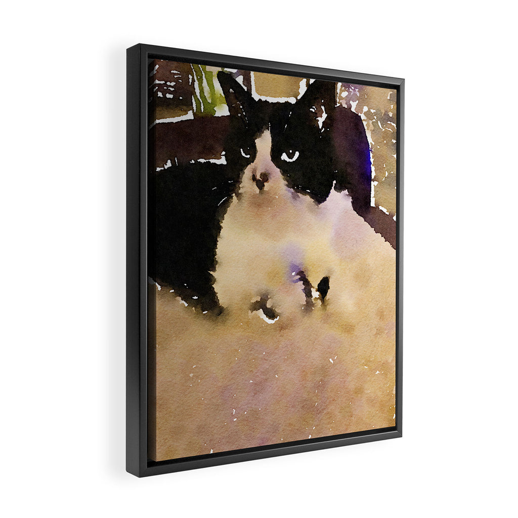 charlotte the cat Framed Canvas Print Gallery Image 2