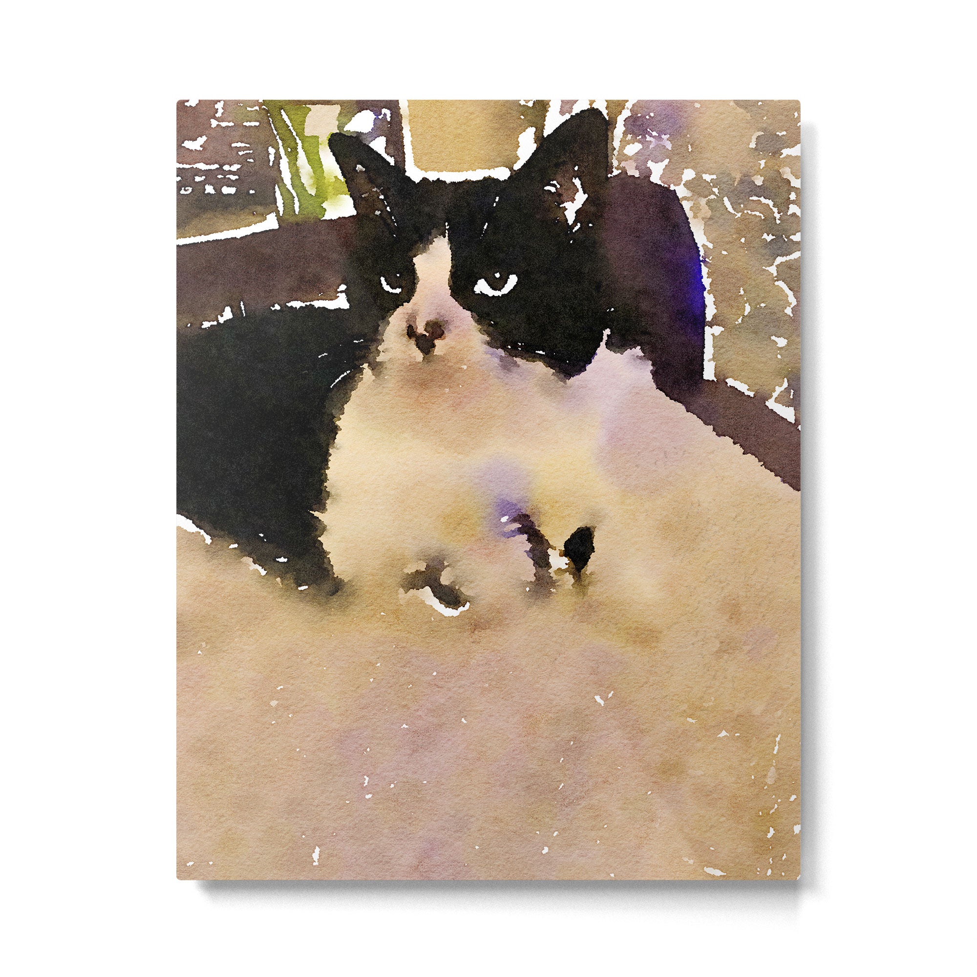 charlotte the cat Metal Print Gallery Image 4