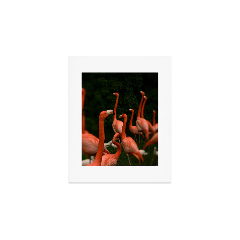 Chorus Line - Flamingo Art Art Print Gallery Image 1