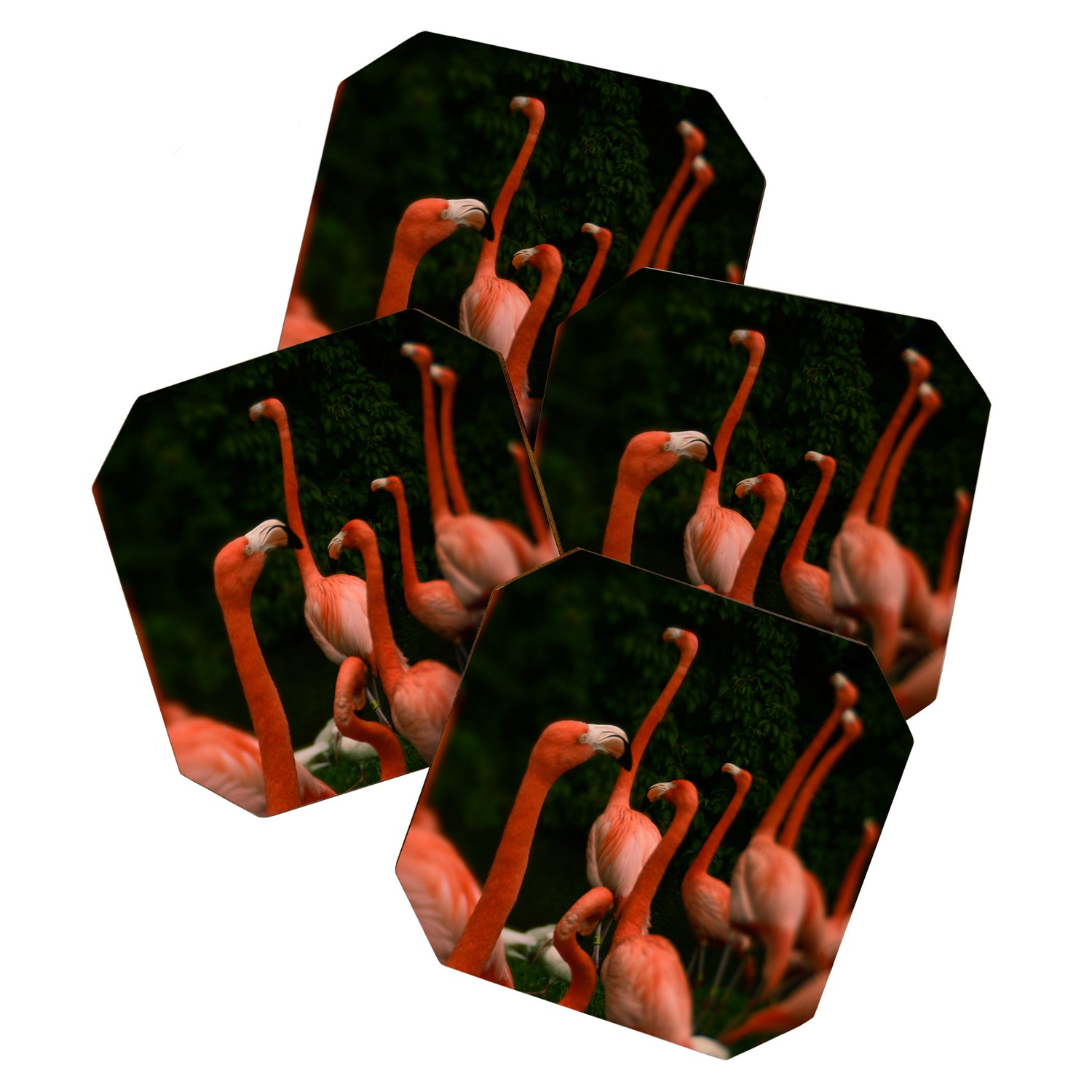 Chorus Line - Flamingo Art Coaster Gallery Image 1