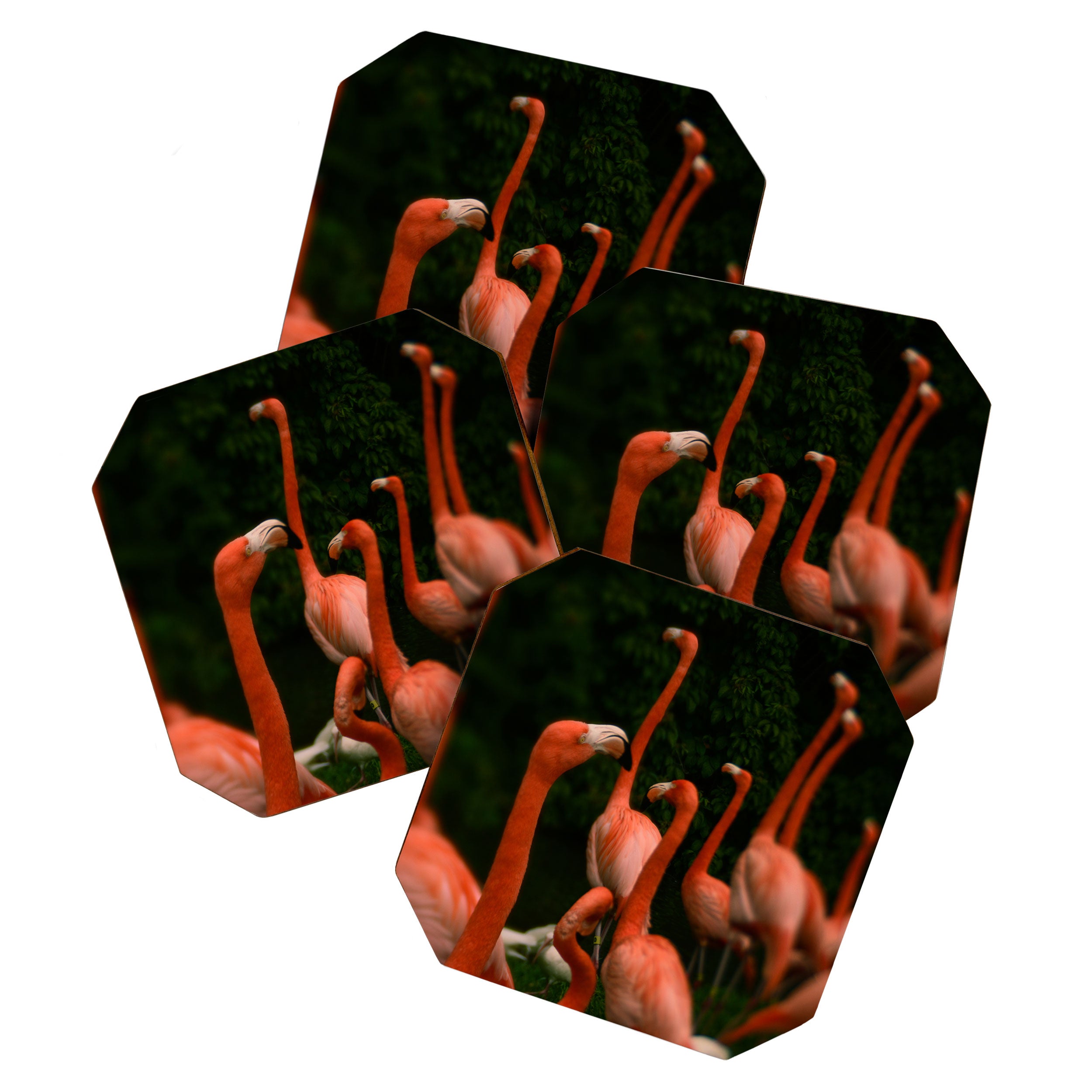 Chorus Line - Flamingo Art Coaster Gallery Image 1