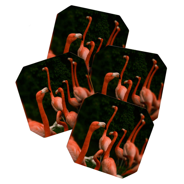 Chorus Line - Flamingo Art Coaster Gallery Image 1