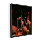 Chorus Line - Flamingo Art Framed Canvas Print Gallery Image 2