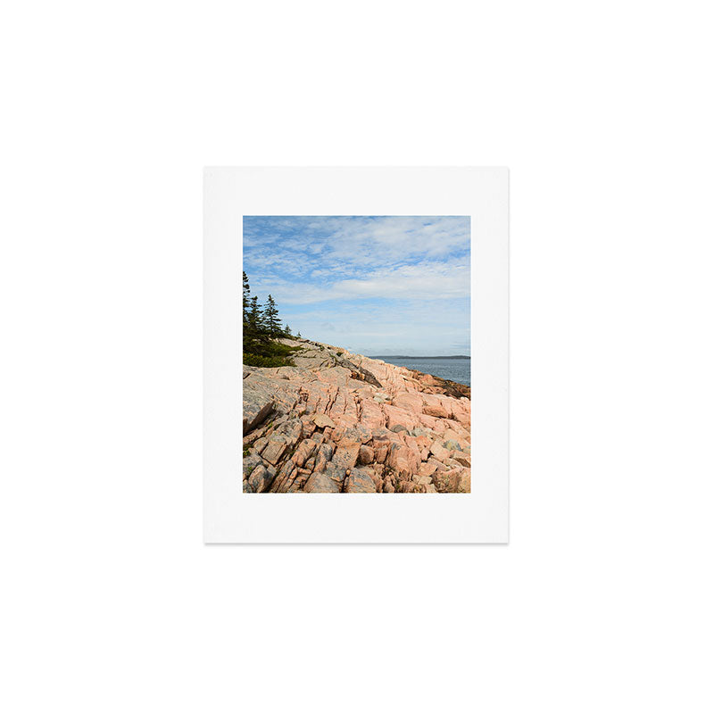 Coastal Life #2 - Travel Photography - Maine art - New England landscape - nature Art Print Gallery Image 1