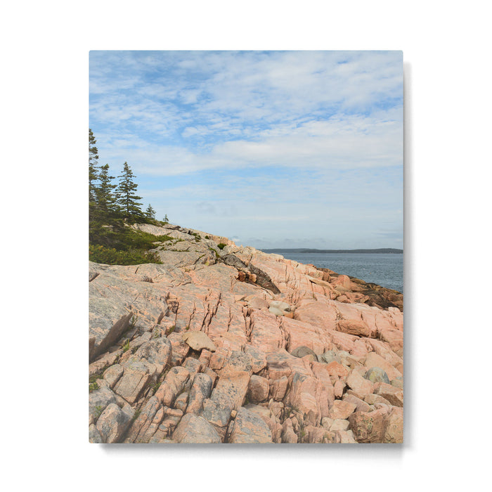 Coastal Life #2 - Travel Photography - Maine art - New England landscape - nature Metal Print Gallery Image 1