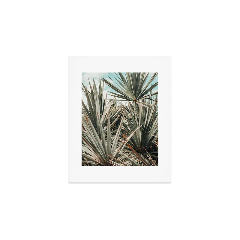 Coastal Morning  palmetto botanical leaf photograph Art Print Gallery Image 1