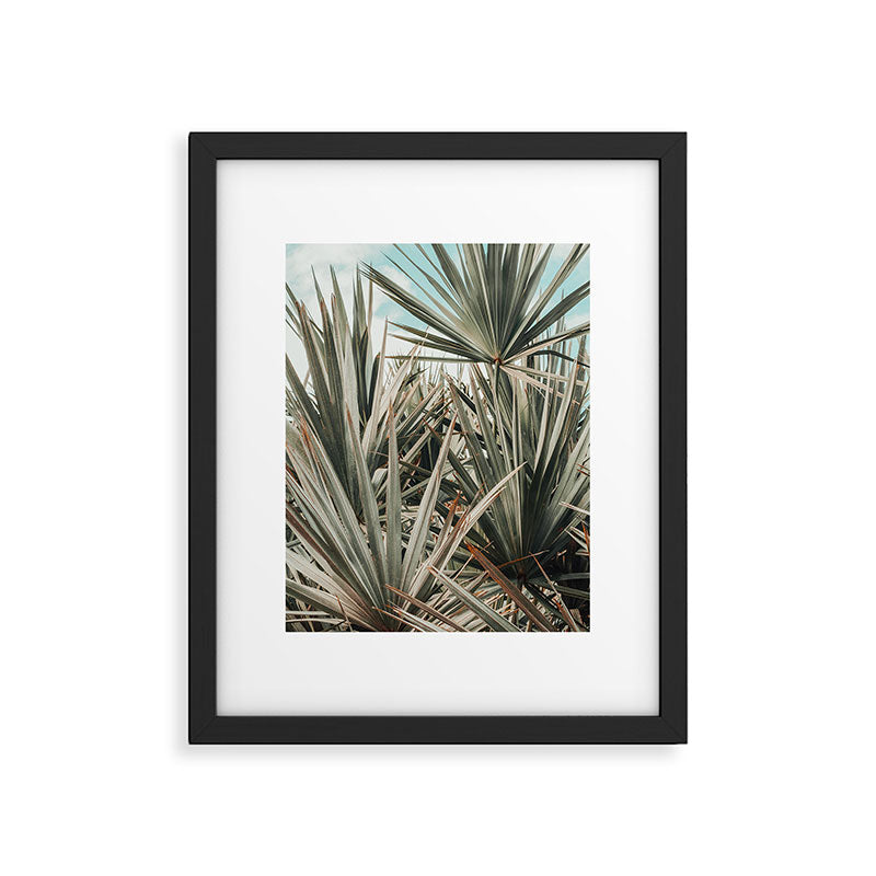 Coastal Morning  palmetto botanical leaf photograph Framed Art Print Gallery Image 5