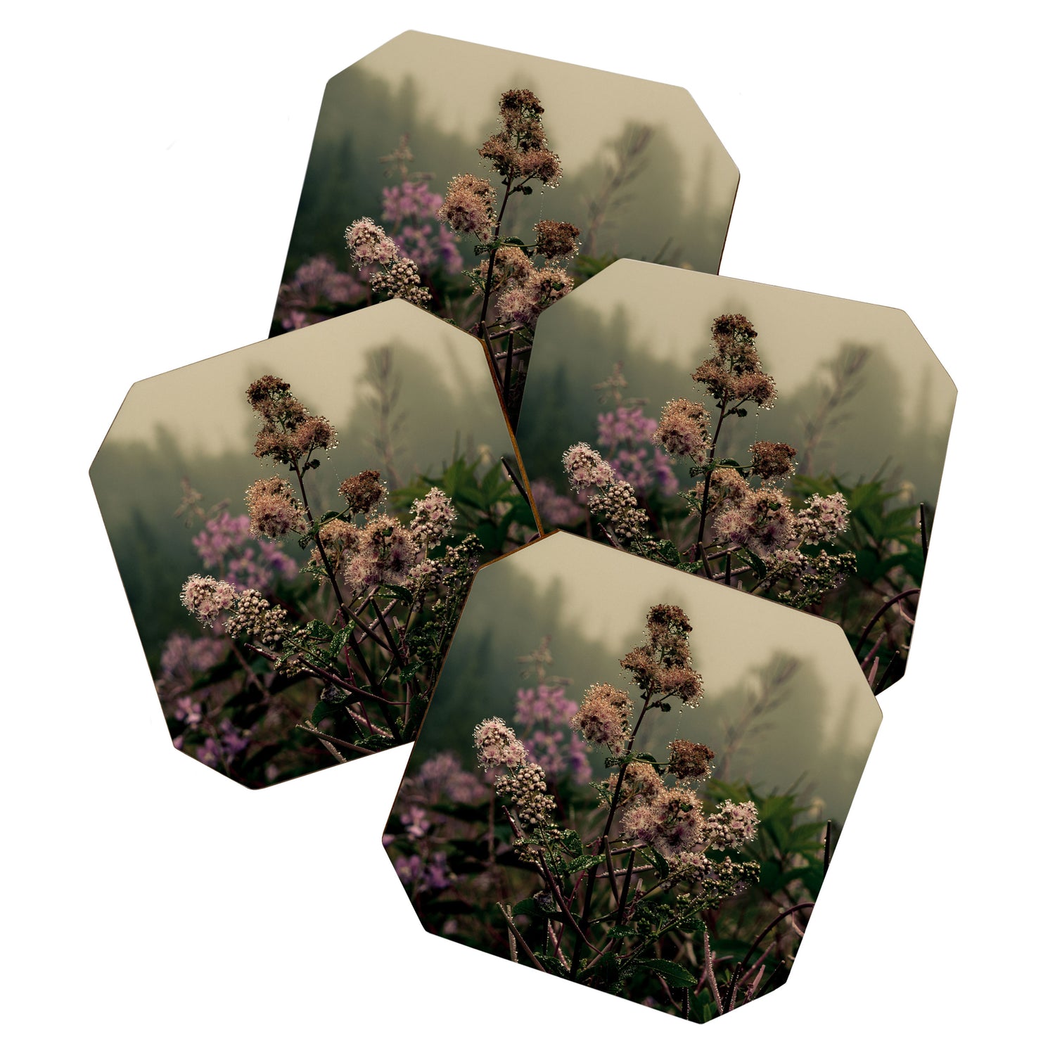 Coastal Summer Meadow Coaster Gallery Image 1
