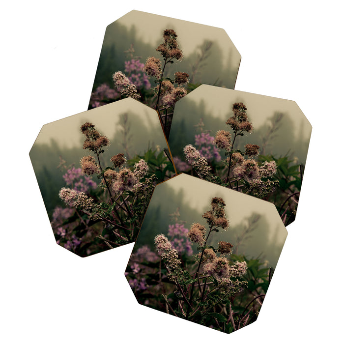 Coastal Summer Meadow Coaster Gallery Image 1