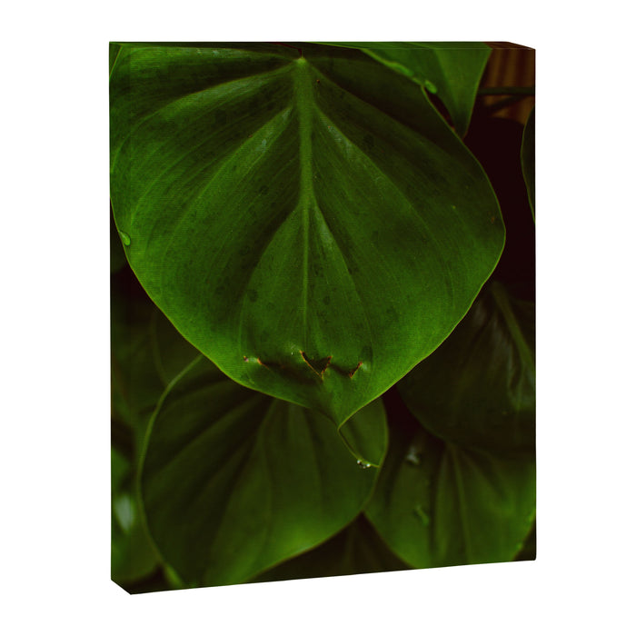Collaboration Canvas Print Gallery Image 1