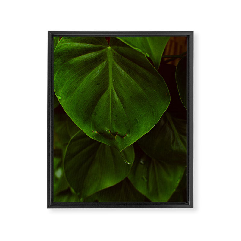 Collaboration Framed Canvas Print Gallery Image 6