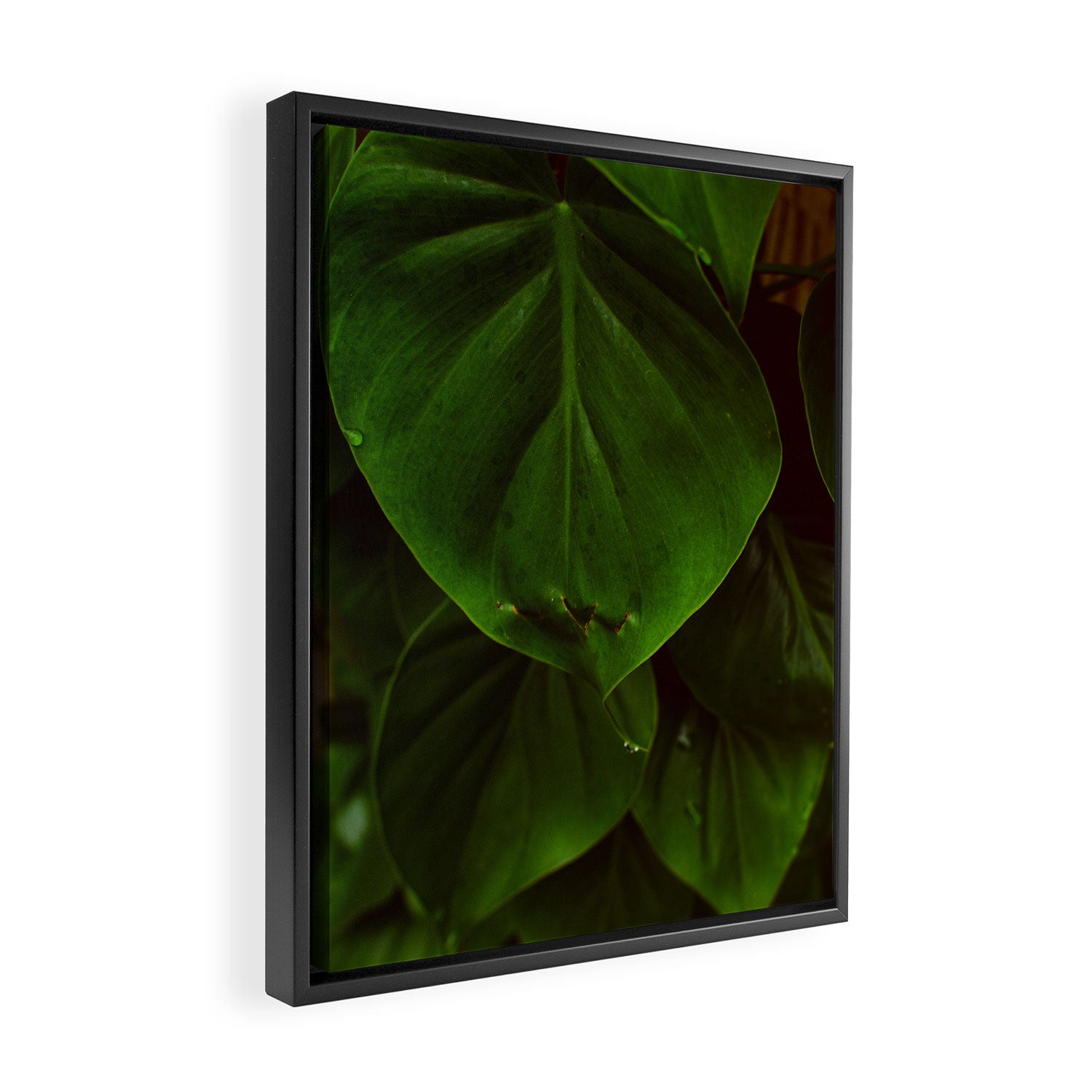 Collaboration Framed Canvas Print Gallery Image 2