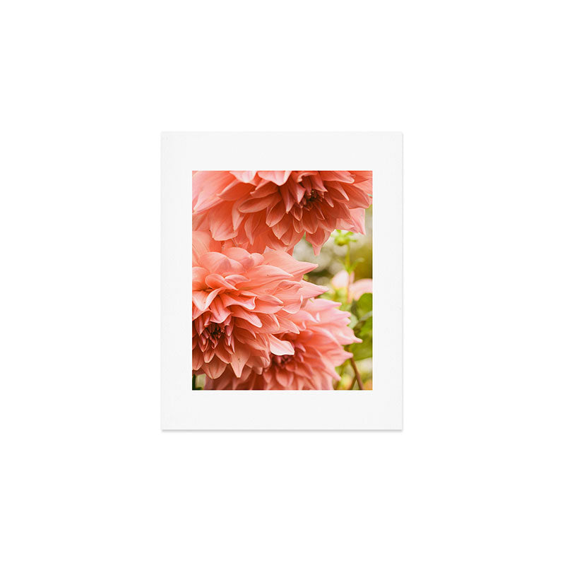 Collaboration  Modern Botanical Dahlia Flower Photograph -pink terracotta floral Art Print Gallery Image 1