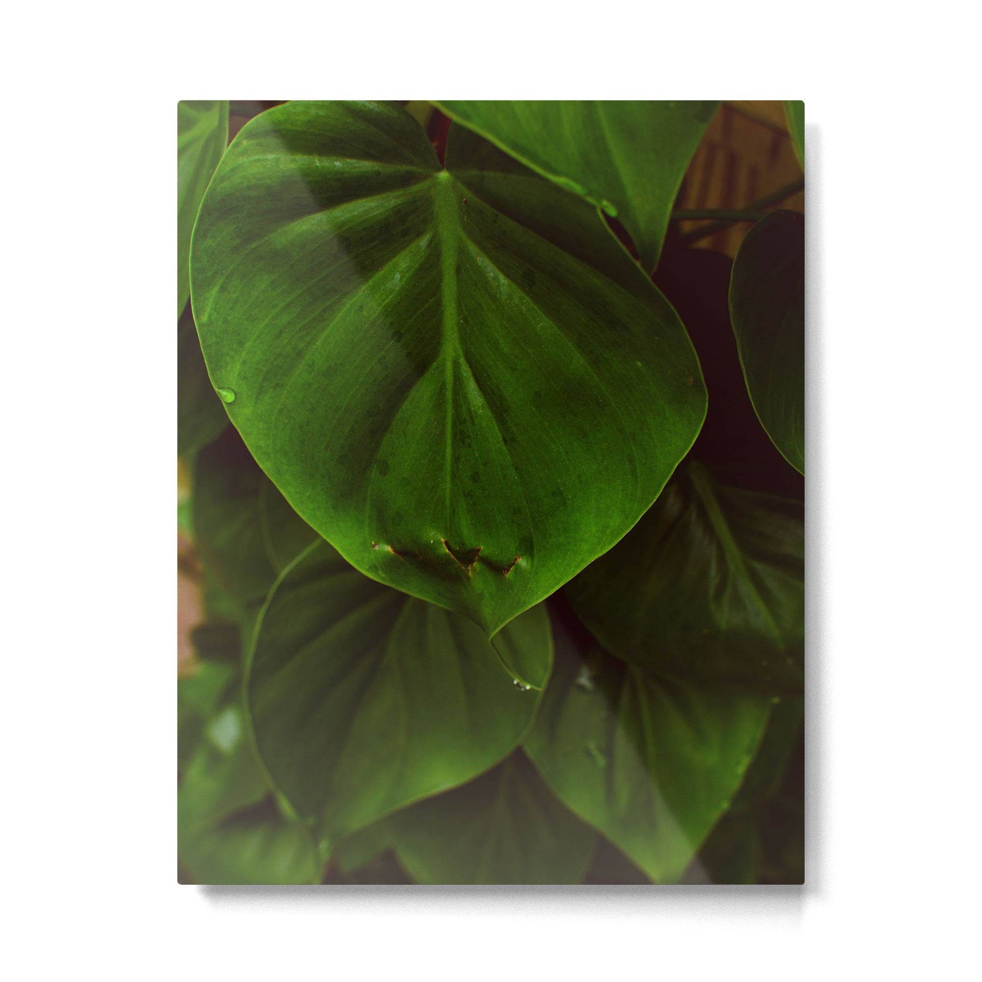 Collaboration Metal Print Gallery Image 4
