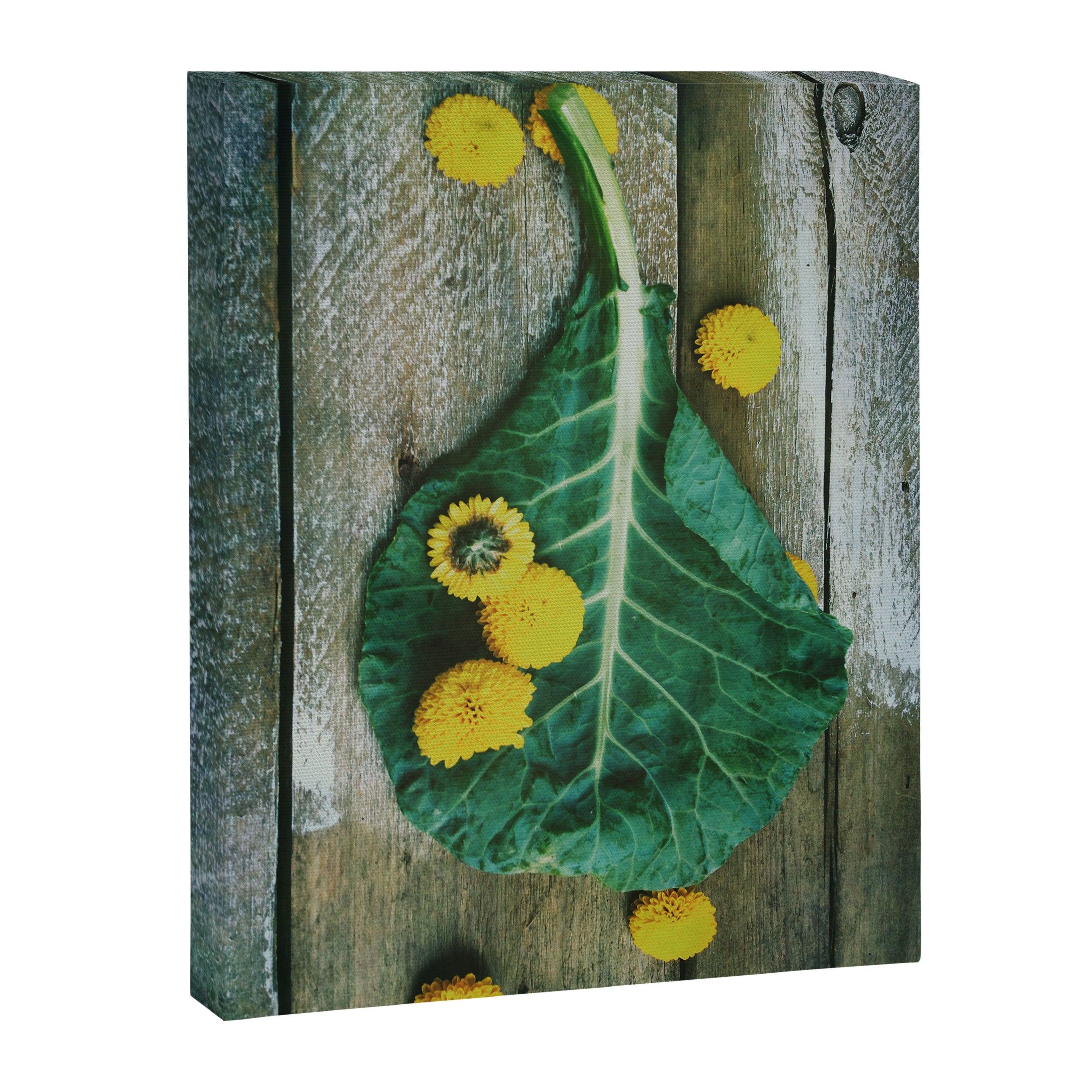 Collard Greens Canvas Print Gallery Image 6