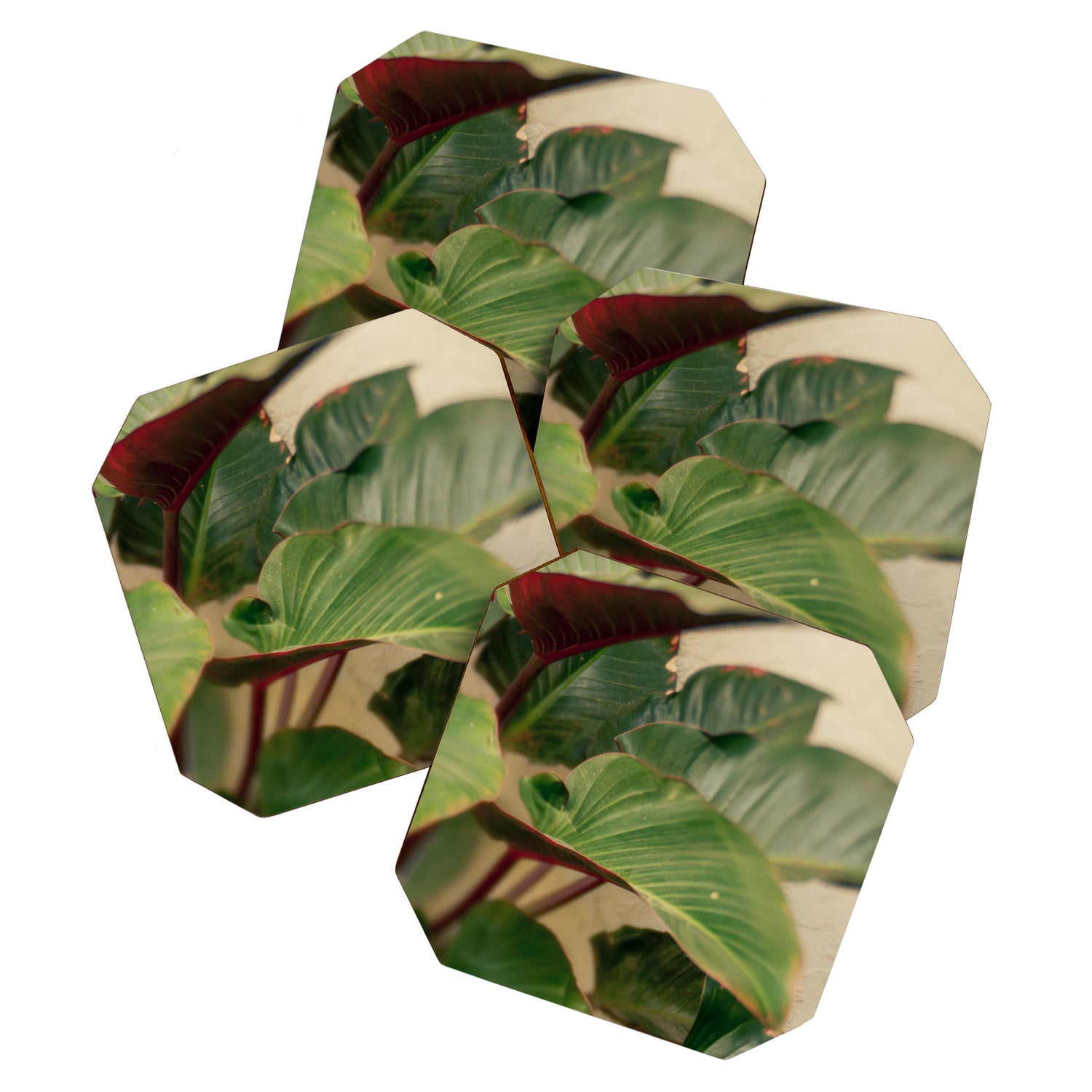 Collective Coaster Gallery Image 1