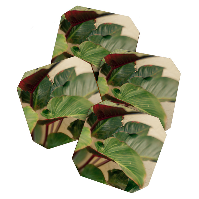 Collective Coaster Gallery Image 1