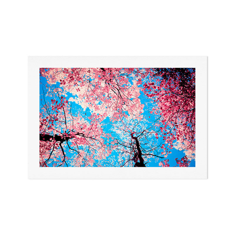 Color Drama III Art Print Gallery Image 1