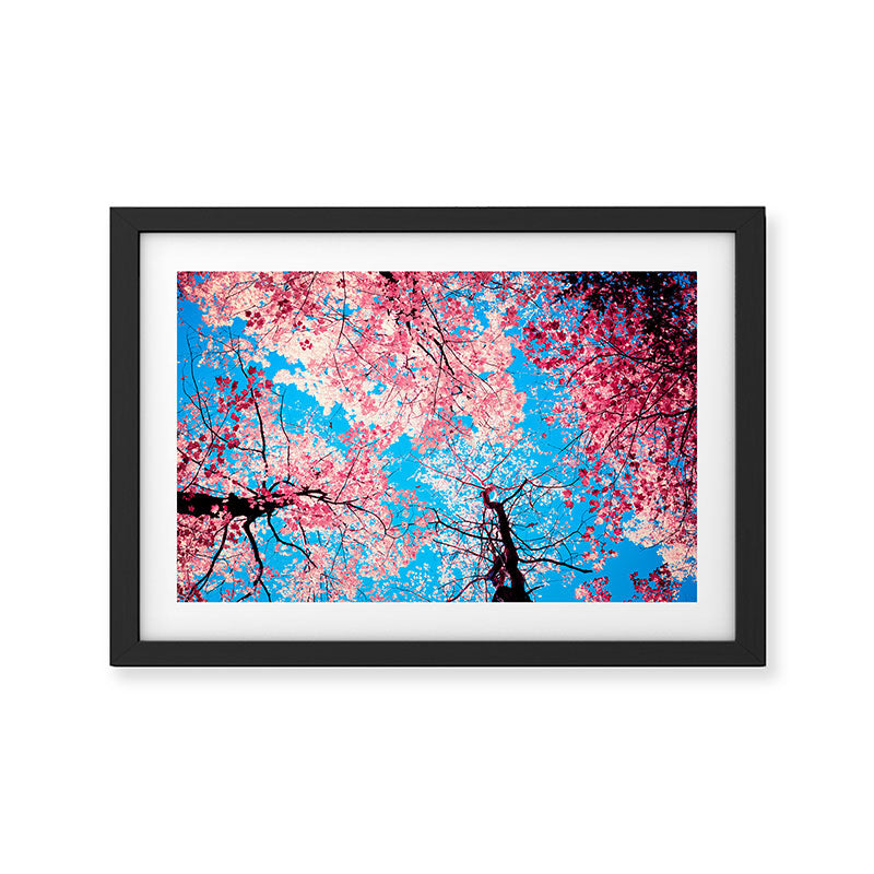 Color Drama III Framed Art Print Gallery Image 2
