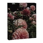 Come Together - moody botanical floral photograph rose pink dahlia flowers Canvas Print Gallery Image 6