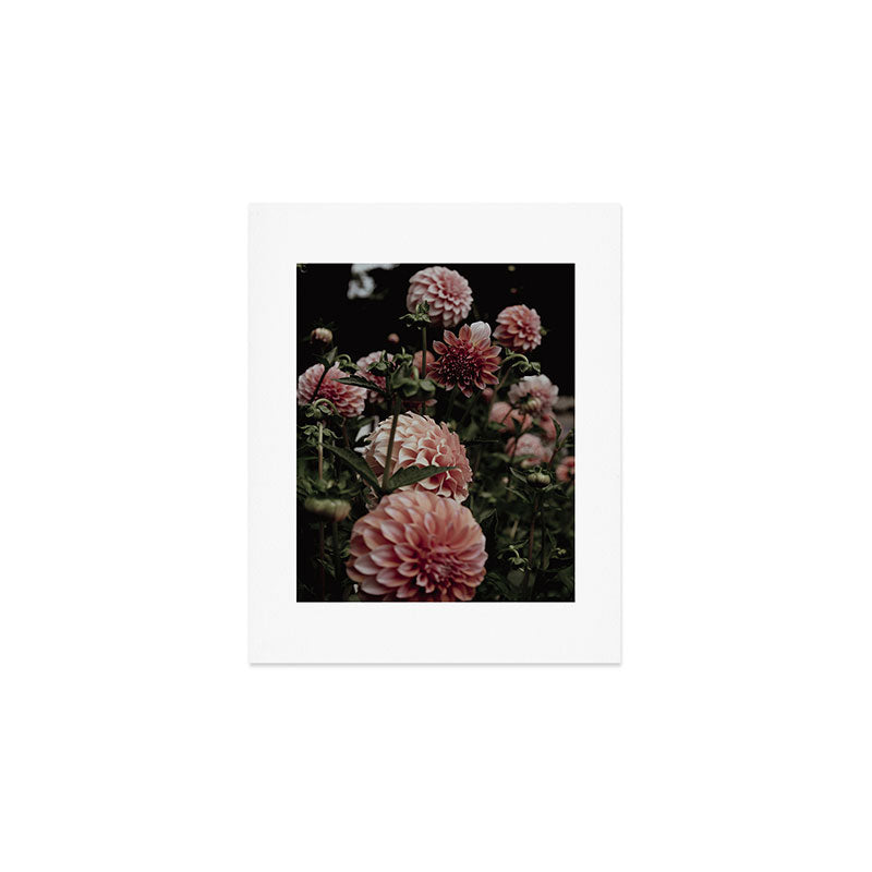 Come Together - moody botanical floral photograph rose pink dahlia flowers Art Print Gallery Image 1