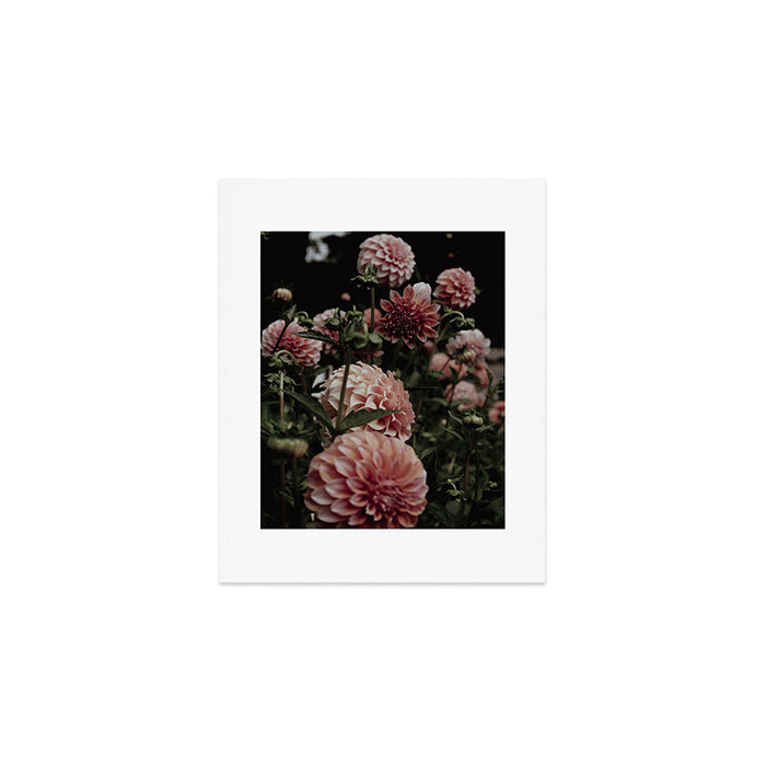 Come Together - moody botanical floral photograph rose pink dahlia flowers Art Print Gallery Image 1