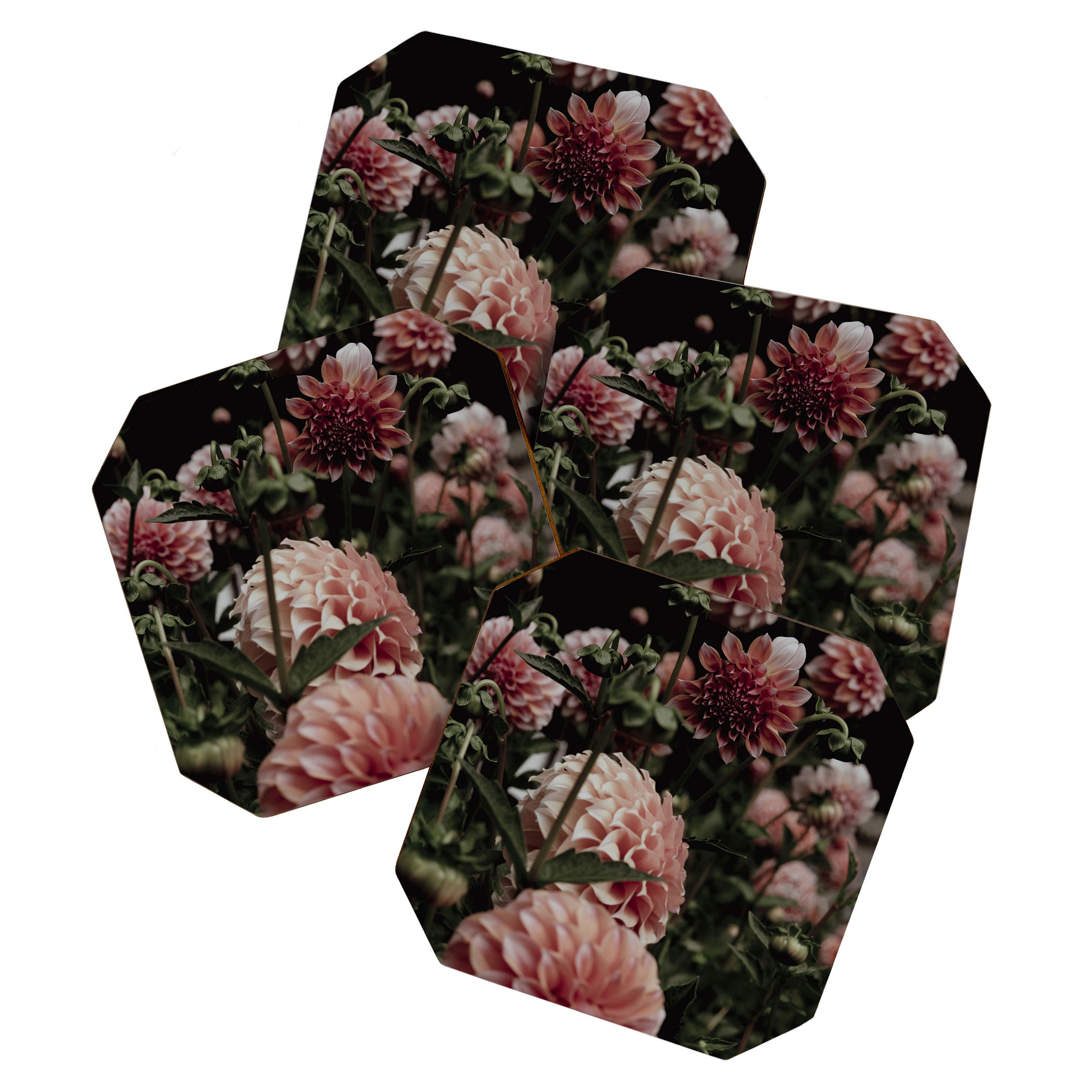 Come Together - moody botanical floral photograph rose pink dahlia flowers Coaster Gallery Image 1