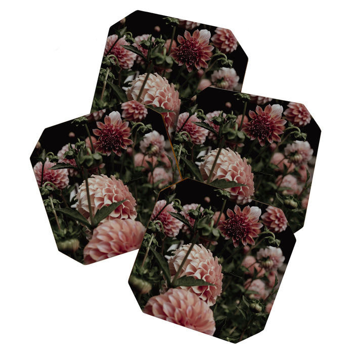 Come Together - moody botanical floral photograph rose pink dahlia flowers Coaster Gallery Image 1