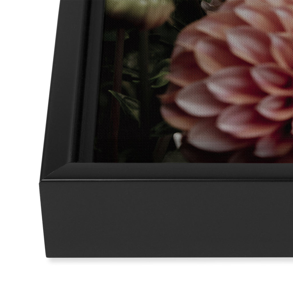 Come Together - moody botanical floral photograph rose pink dahlia flowers Framed Canvas Print Gallery Image 3