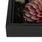Come Together - moody botanical floral photograph rose pink dahlia flowers Framed Canvas Print Gallery Image 3