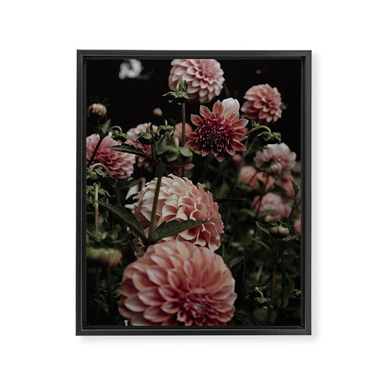 Come Together - moody botanical floral photograph rose pink dahlia flowers Framed Canvas Print Gallery Image 6