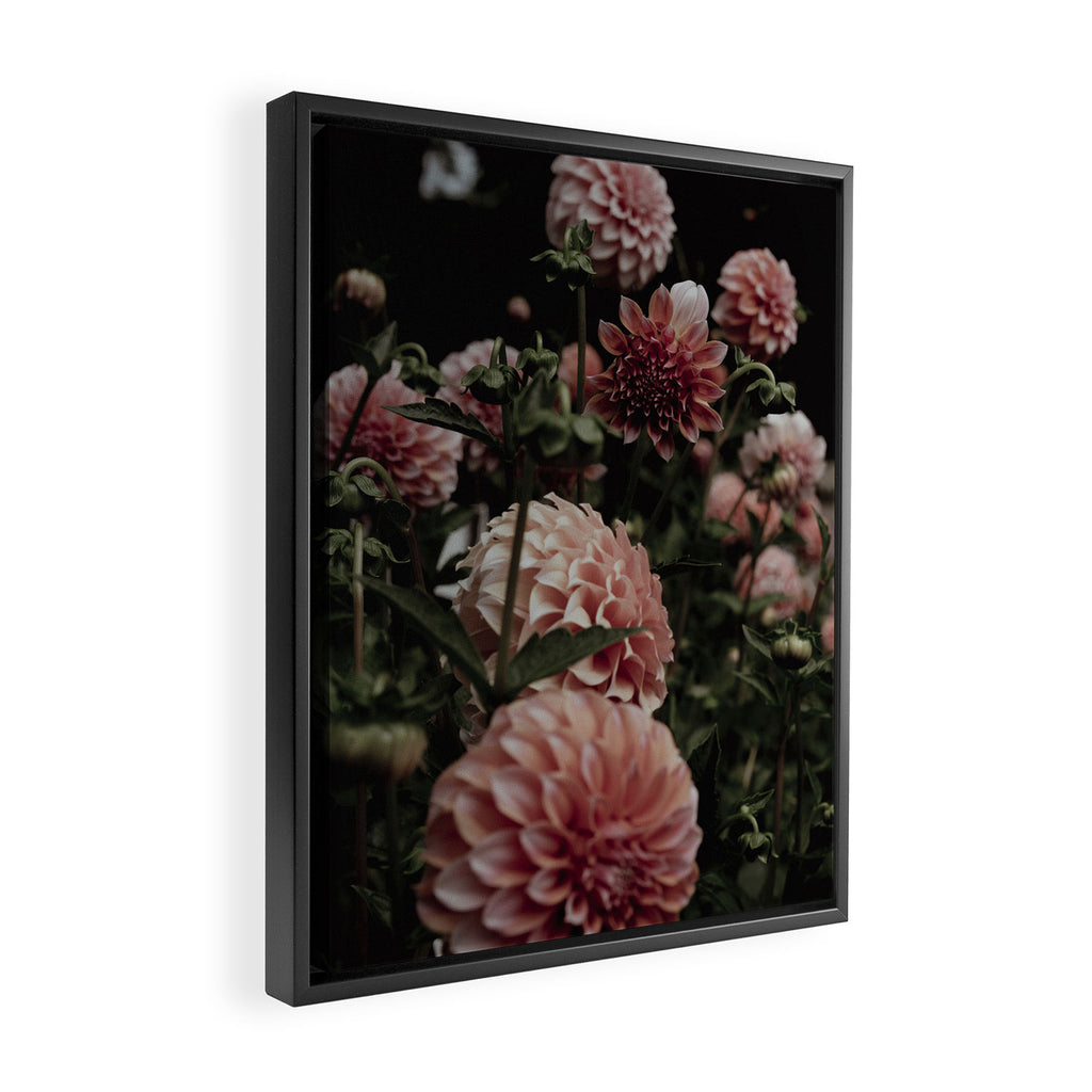 Come Together - moody botanical floral photograph rose pink dahlia flowers Framed Canvas Print Gallery Image 2