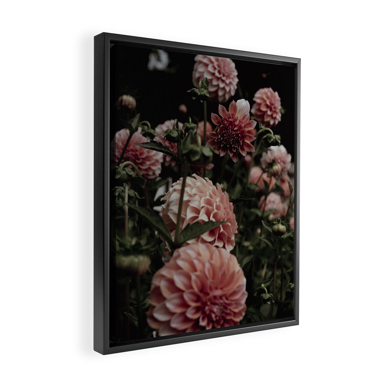 Come Together - moody botanical floral photograph rose pink dahlia flowers Framed Canvas Print Gallery Image 2