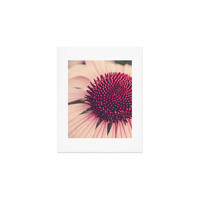 Coneflower Study 2 Art Print Gallery Image 1