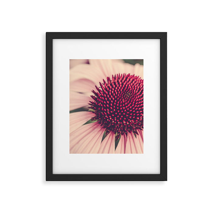 Coneflower Study 2 Framed Art Print Gallery Image 1