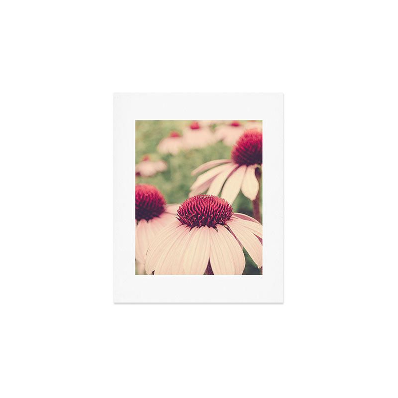 Coneflower Study Art Print Gallery Image 1