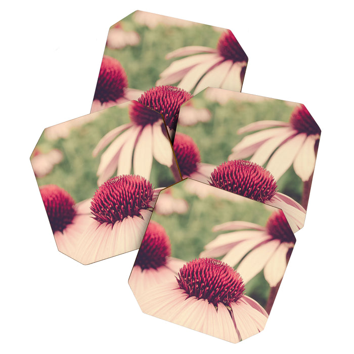 Coneflower Study Coaster Gallery Image 1