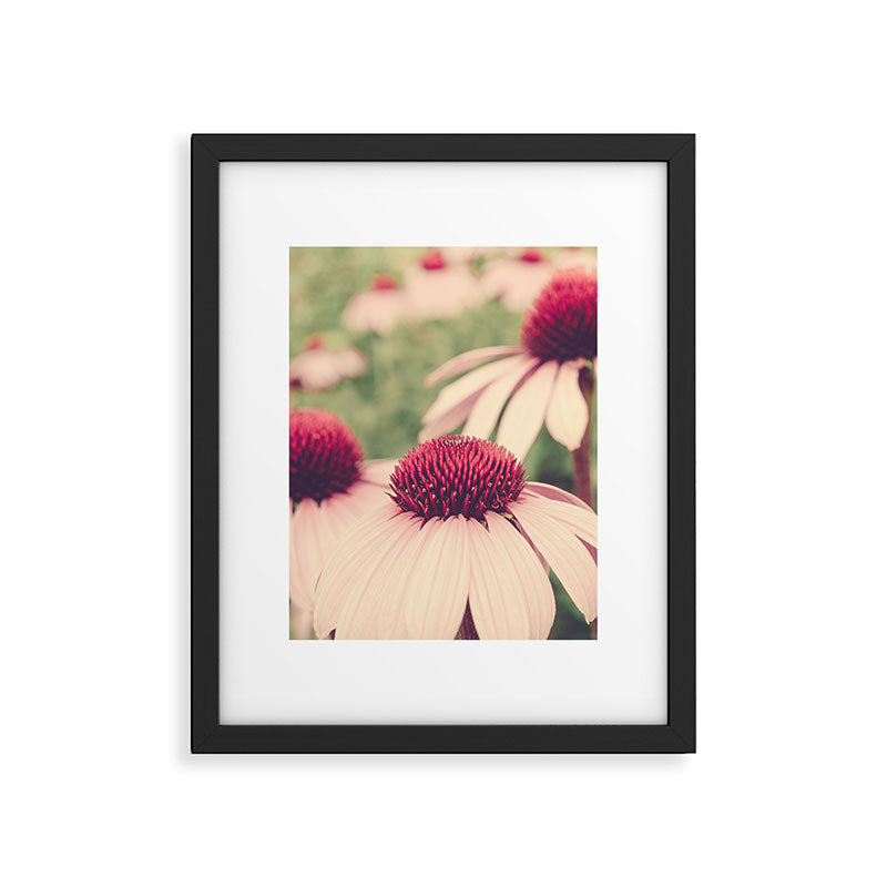 Coneflower Study Framed Art Print Gallery Image 5