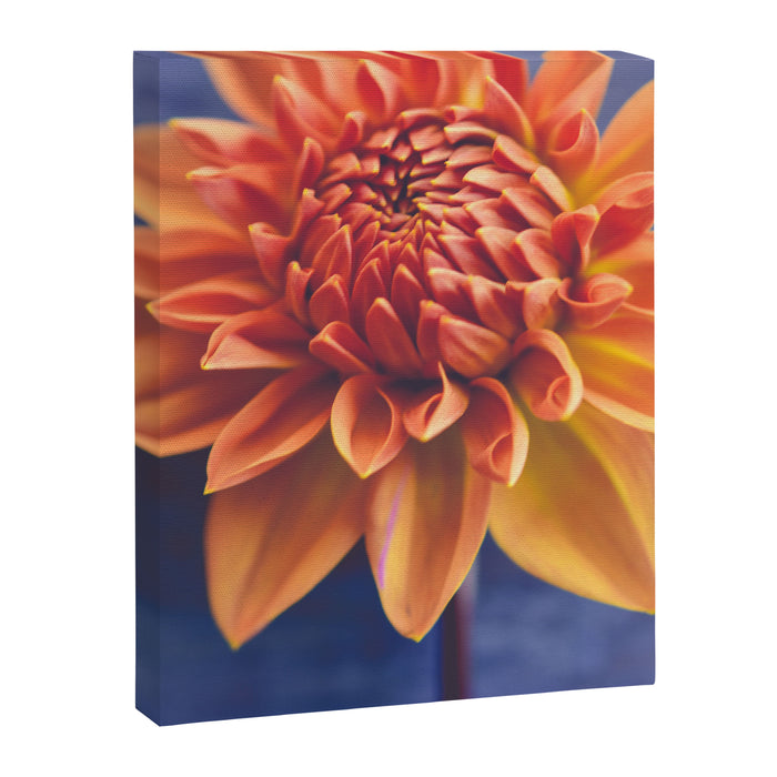 Confident Canvas Print Gallery Image 1