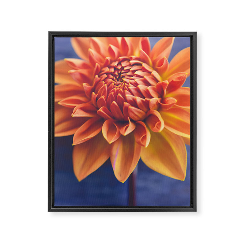 Confident Framed Canvas Print Gallery Image 6
