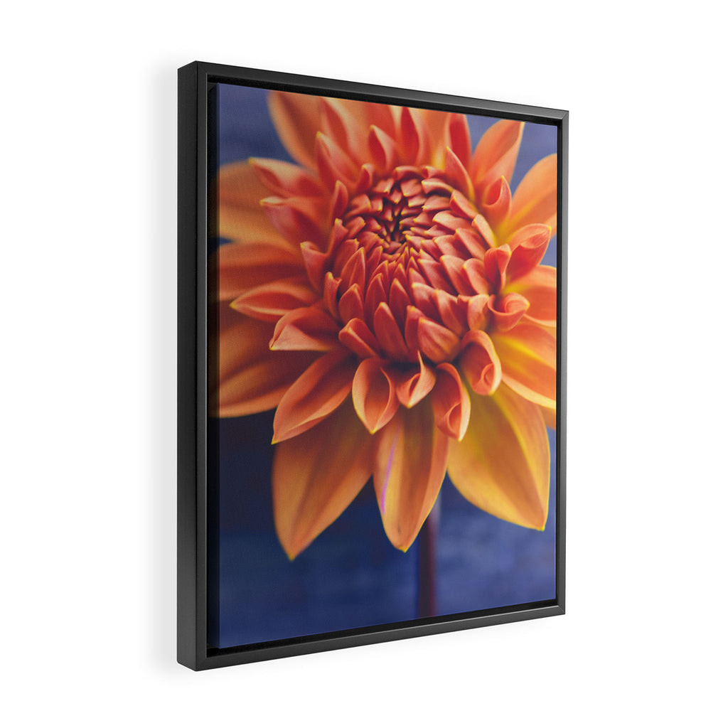 Confident Framed Canvas Print Gallery Image 2