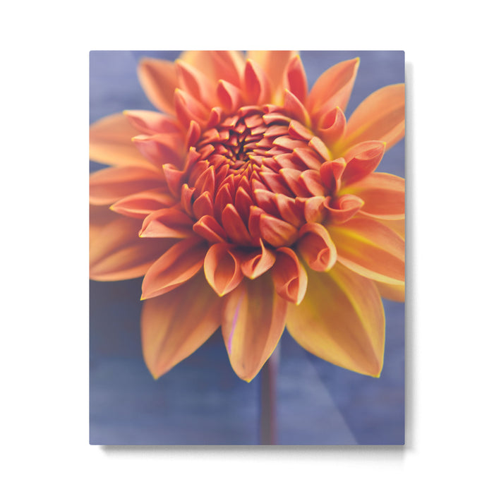 Confident Metal Print Gallery Image 1