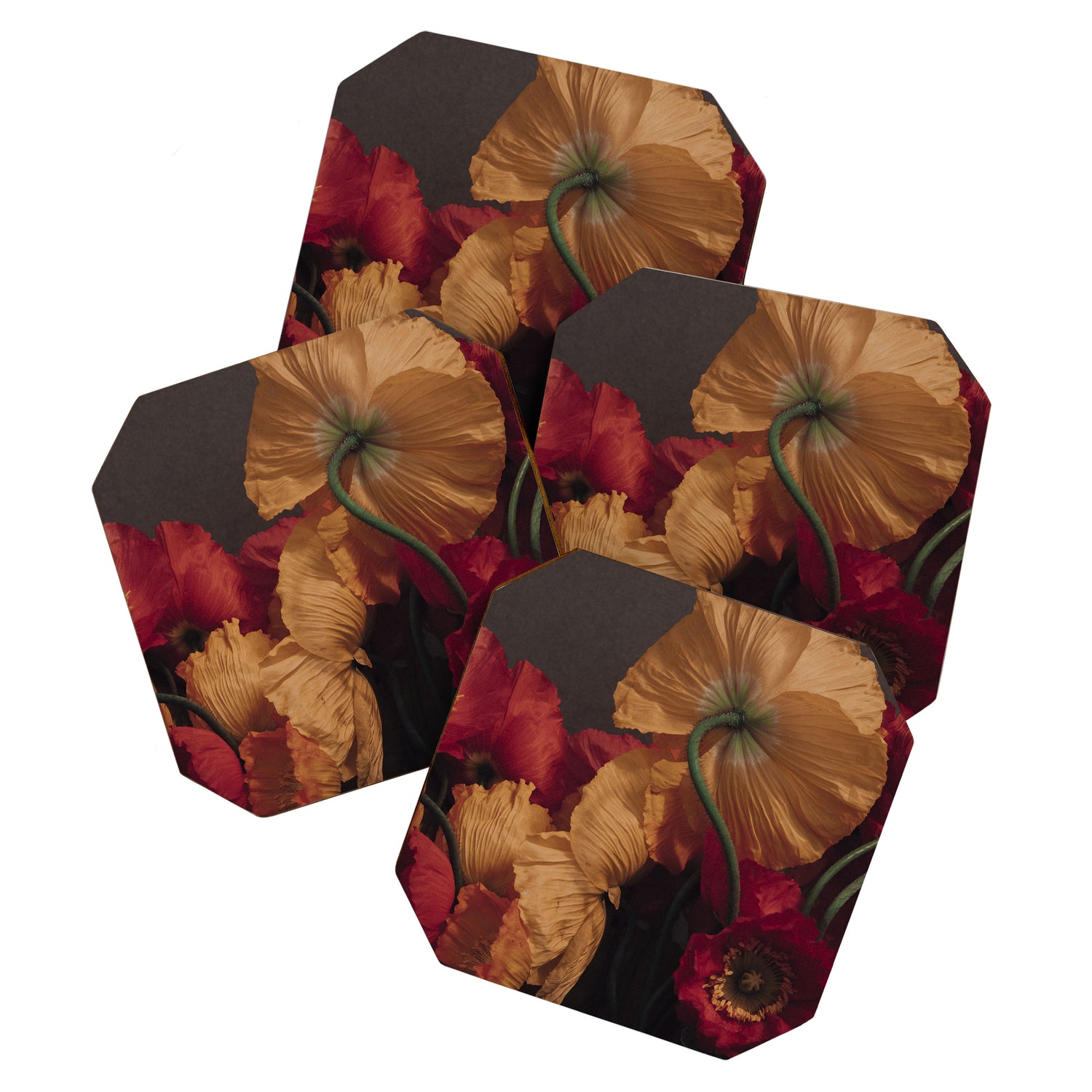 Coquette x botanical poppy flower photograph Coaster Gallery Image 1