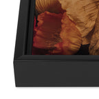 Coquette x botanical poppy flower photograph Framed Canvas Print Gallery Image 3