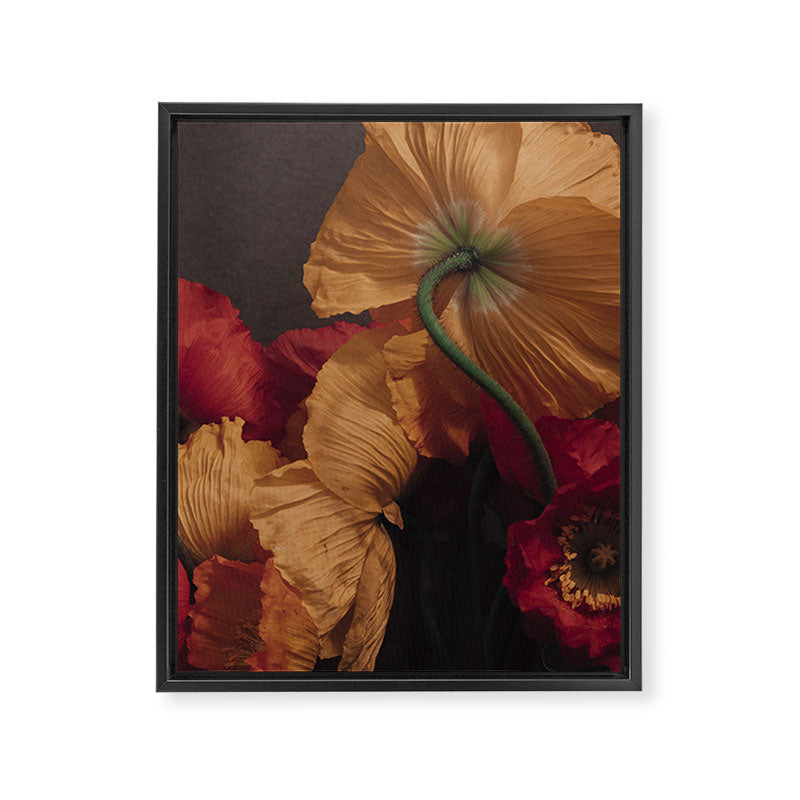 Coquette x botanical poppy flower photograph Framed Canvas Print Gallery Image 6