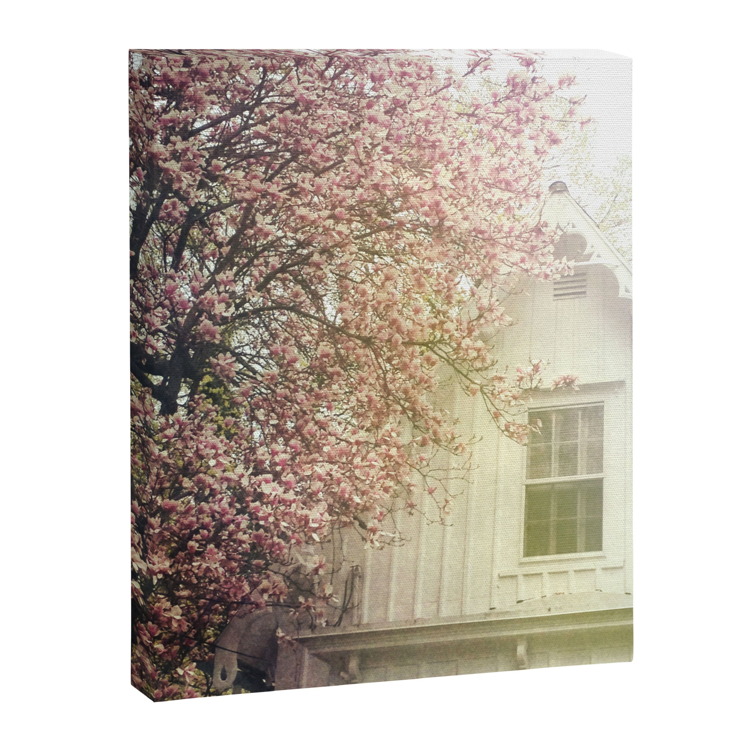 Cottage and Magnolias Canvas Print Gallery Image 8
