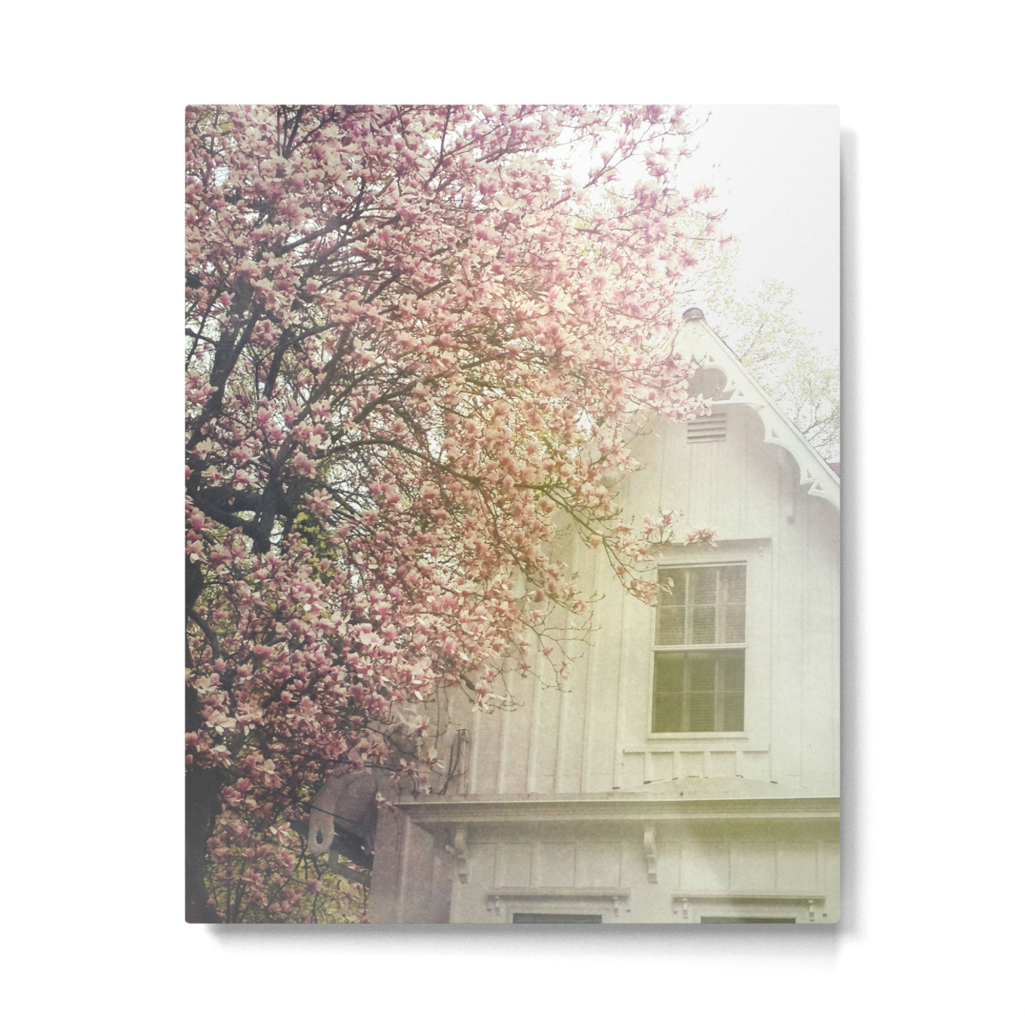 Cottage and Magnolias Metal Print Gallery Image 6