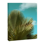 Cuban Palm and Clouds Canvas Print Gallery Image 6